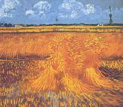 Vincent Van Gogh Wheatfields With Cypress at Arles china oil painting reproduction